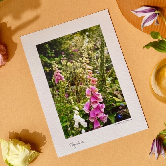 Wild Flower Stationary Card - Picture 1 of 16